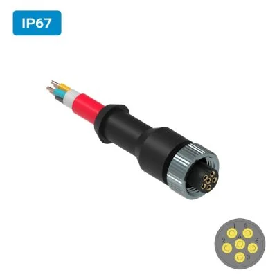Conector injetado PVC M12 fêmea para cabo IP67 1 ampere